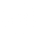 ViPR